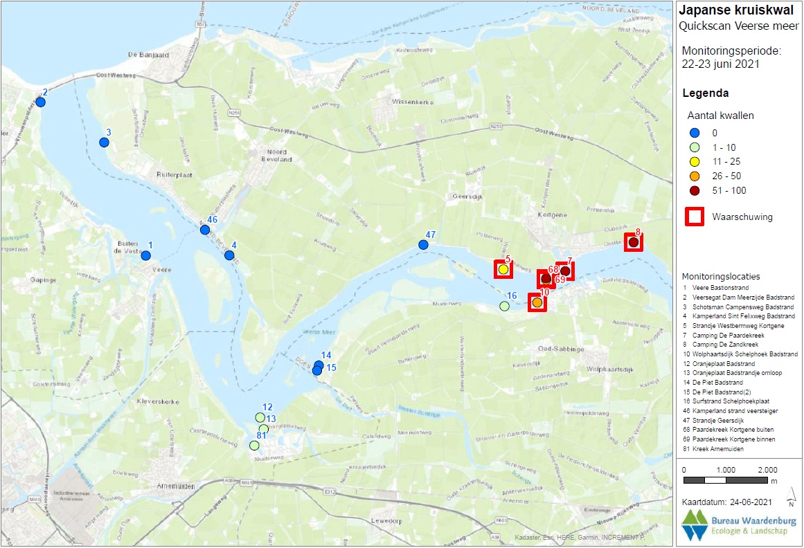 Resultaten kruiskwallenmonitoring per locatie voor de monitoring in week 25. Cijfers geven het stationnummer weer.