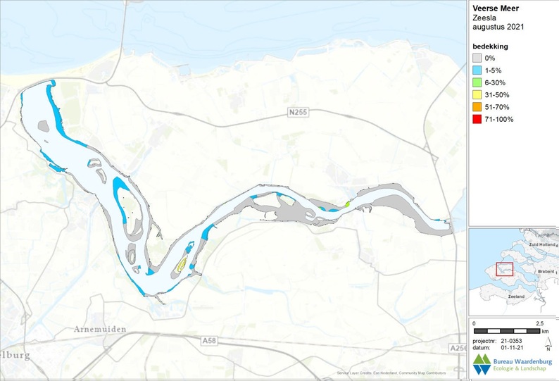 Kartering van zeesla in het Veerse Meer in 2021.