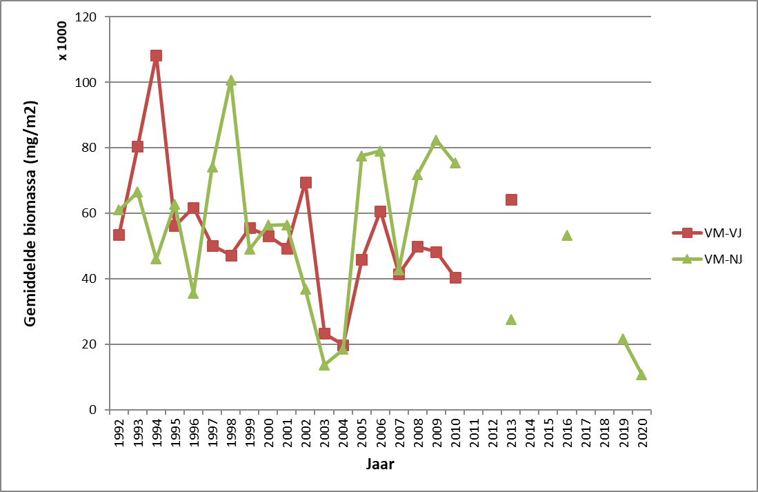Gemiddelde dichtheid van bodemdierenbiomassa (n ind./m2) in het Veerse meer in het voorjaar(VJ) en het najaar(NJ) (Van Son en Verduijn, 2021)